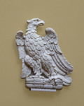 Aquila di Calimala in riposo con becco a destra