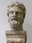 Testa virile