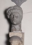 Testa di giovane imberbe