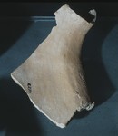 Frammento di boccale collo e spalla
