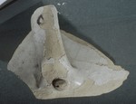 Frammento di boccale in maiolica bianco con porzione di ansa
