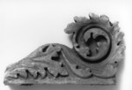 Gattone con motivo decorativo acantiforme
